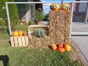 Najlepše urejena domačija na temo jesen in buče 8